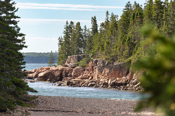 Pines frame jagged bluff on Maine coast