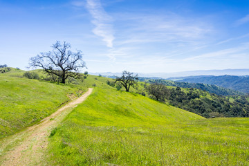 Fototapeta na wymiar Hiking trail in in Henry W. Coe state park, California