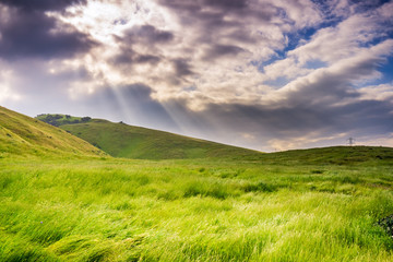 Sun rays illuminating a green meadow, south San Francisco bay, California