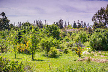 Landscape in Ulistac Natural Area, Santa Clara, south San Francisco bay area, California