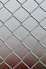 Close up of a chain link fence covered in a thick