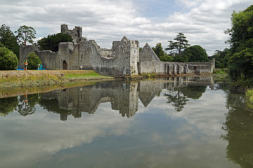 Desmond Castle