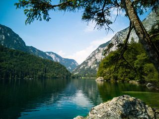 Beautiful mountain panorama with tree and rock in a lake