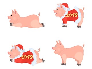 funny pigs cartoons drawing compilation multicolored