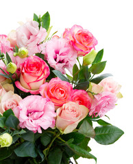 fresh rose flowers