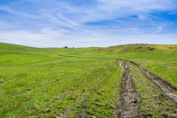 Obraz premium Walking/hiking trail on the hills of south San Francisco bay, San Jose, California