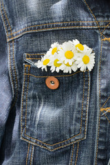 In a jeans pocket there are chamomile flowers