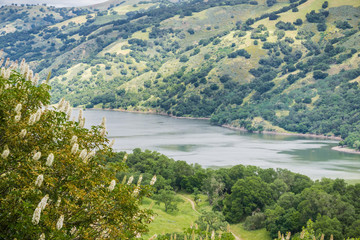 Obraz na płótnie Canvas Coyote Lake, Coyote Lake Harvey Bear Ranch County Park, Gilroy, south San Francisco bay, California