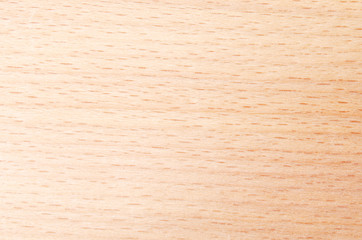 Background light wood. Tree structure Wooden texture for the designer.