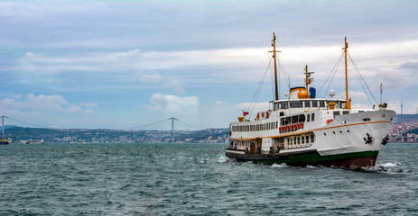 Fototapeta premium Beautiful View touristic landmarks from sea voyage on Bosphorus. turkish steamboats, view on Golden Horn.