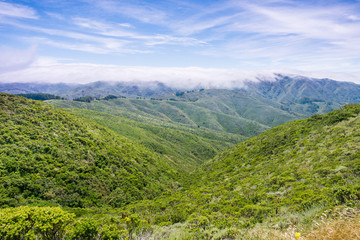 Fototapeta na wymiar Fog covering the hills and valleys of Montara mountain (McNee Ranch State Park) landscape, California