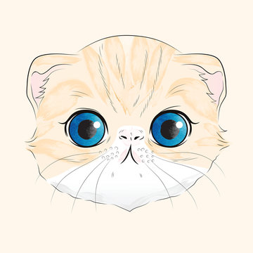 Watercolor Illustration Of Sweet Orange Scottish Fold Cat Head With Blue Eyes