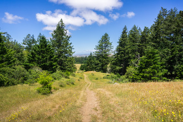 Fototapeta na wymiar Hiking trail on the hills of north San Francisco bay, California