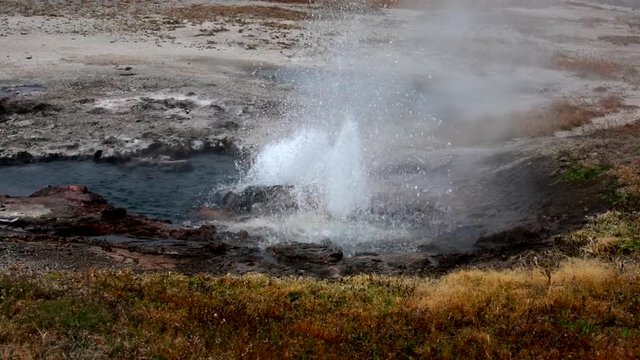 Yellowstone