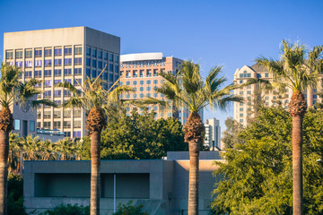 Office buildings and palm trees in downtown San Jose at sunset, California