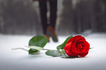 Red rose flower laying on the snow covered road in a winter park and walking away woman silhouette. Failed date or broken heart concept.