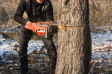 Chainsaw wood saw cut