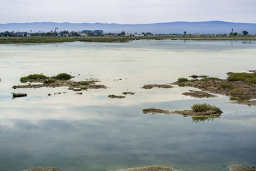 Wetlands in Alviso Marsh, south San Francisco bay, California