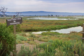 Restoration sign in the wetlands in Alviso Marsh, Don Edwards wildlife refuge, south San Francisco bay, California