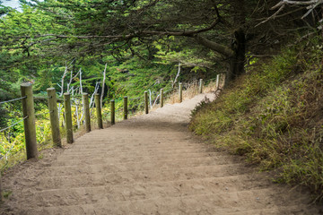 Walking trail, Lands End, San Francisco, California