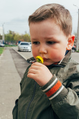 sad boy sniffs dandelion, spring. children's psychological trauma. unhappy child
