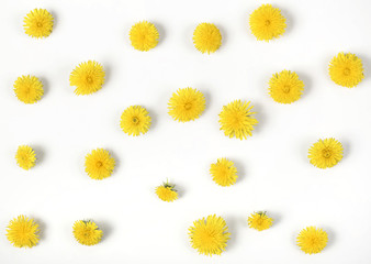 Obraz premium Floral pattern made of yellow dandelion flowers isolated on white background. Flat lay. Top view.