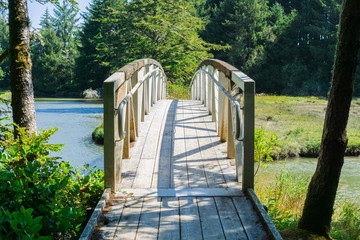 White wooden bridge, South Slough National Estuarine Research Reserve, Coos Bay, Oregon