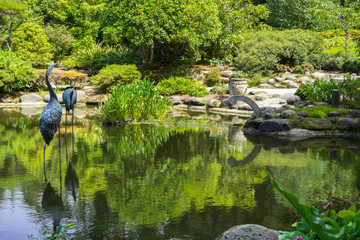 Man made pond surrounded by lush vegetation, Shore Acres State Park Botanical Garden, Oregon