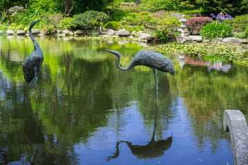 Man made pond surrounded by lush vegetation, Shore Acres State Park Botanical Garden, Oregon