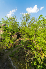 Beautiful green rocky forest while spring day.