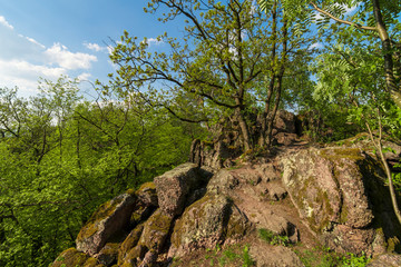 Fototapeta na wymiar Beautiful green rocky forest while spring day.