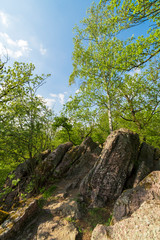 Beautiful green rocky forest while spring day.