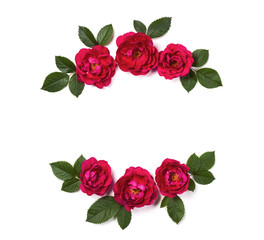Floral frame wreath made of pink rose flowers and leaves isolated on white background. Flat lay....