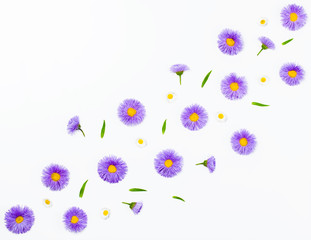 Floral pattern made of violet asters, green leaves and chamomile on white background. Flat lay. Top view.