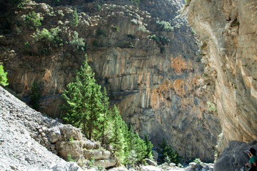 Pines grow on the rocks. Dried waterfall. Mountain landscape.