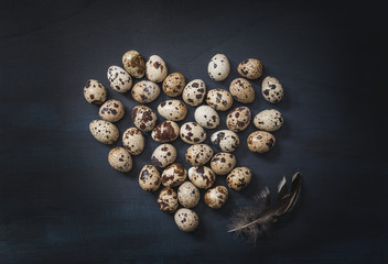 Eggs still life background.Quails eggs on dark background easter card.
