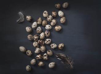 Eggs still life background.Quails eggs on dark background.