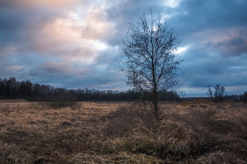 Valley of the Jeziorka river and rainy clouds near Piaseczno, Mazowieckie, Poland