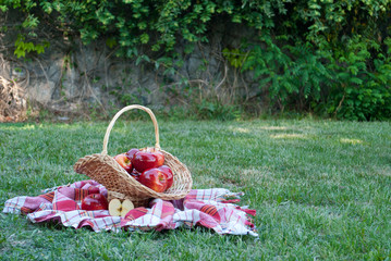 Wicker basket is woven of vines with apples on the background of green grass tablecloth, cloth in a...