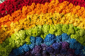 Fotobehang arrangement of flowers in a rainbow of colours © Jim Babbage