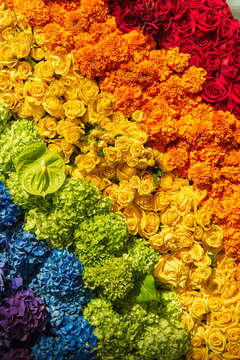 arrangement of flowers in a rainbow of colours