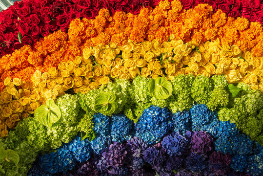 arrangement of flowers in a rainbow of colours