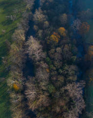 GALLERY FORESTS (Bosque de Ribera, Soto), Ason river, RamalesCantabria, Spain, Europe