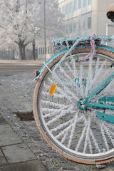 Wheel in the frost