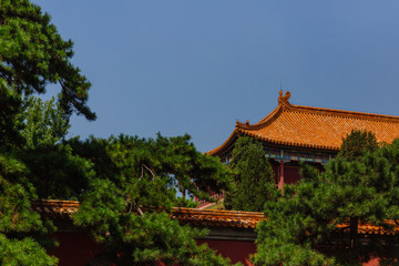 Traditional Chinese architecture behind trees, in Forbidden City, under blue sky, in Beijing, China
