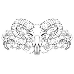 Vector hand drawn illustration. Artwork with skull of ram, flowers.  Alchemy, religion, spirituality, occultism, tattoo art. Template for postcard, banner, poster, print for t-shirt.