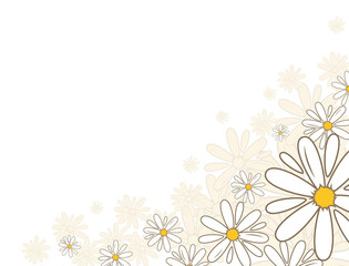 Bottom corner oxeye daisy flower decoration card. National flower of Denmark, Latvia, Russia. Vector illustration template
