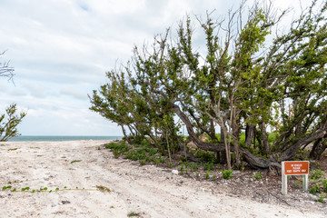 Old Bahia Honda Bridge Trail in state park during day in Florida Keys, with hiking path, sign for foot traffic on sand