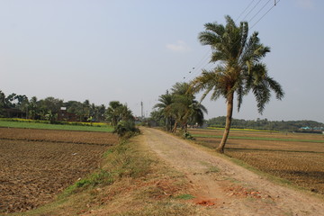 Fototapeta na wymiar indian village road