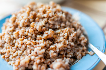 Macro closeup of boiled brown roasted traditional buckwheat grain breakfast Ukrainian or Russian food cooked plain in blue dish or plate on table